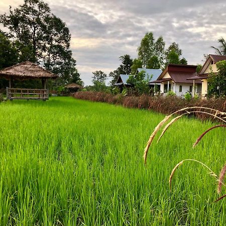 Baan Thung Home Stay Prasat Екстериор снимка