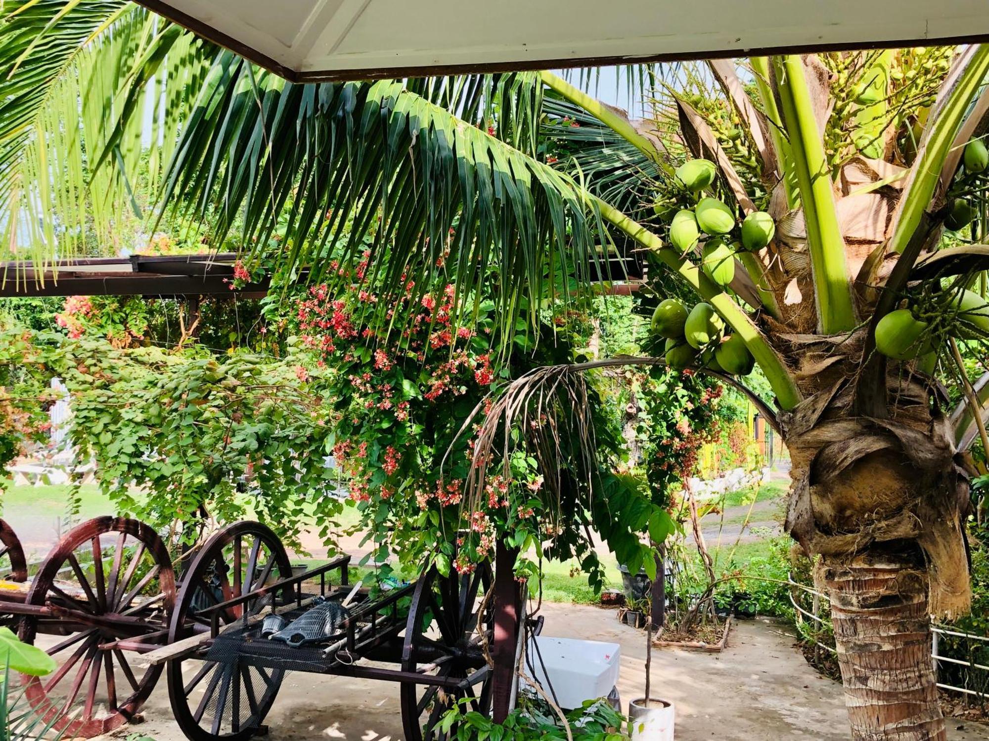 Baan Thung Home Stay Prasat Екстериор снимка