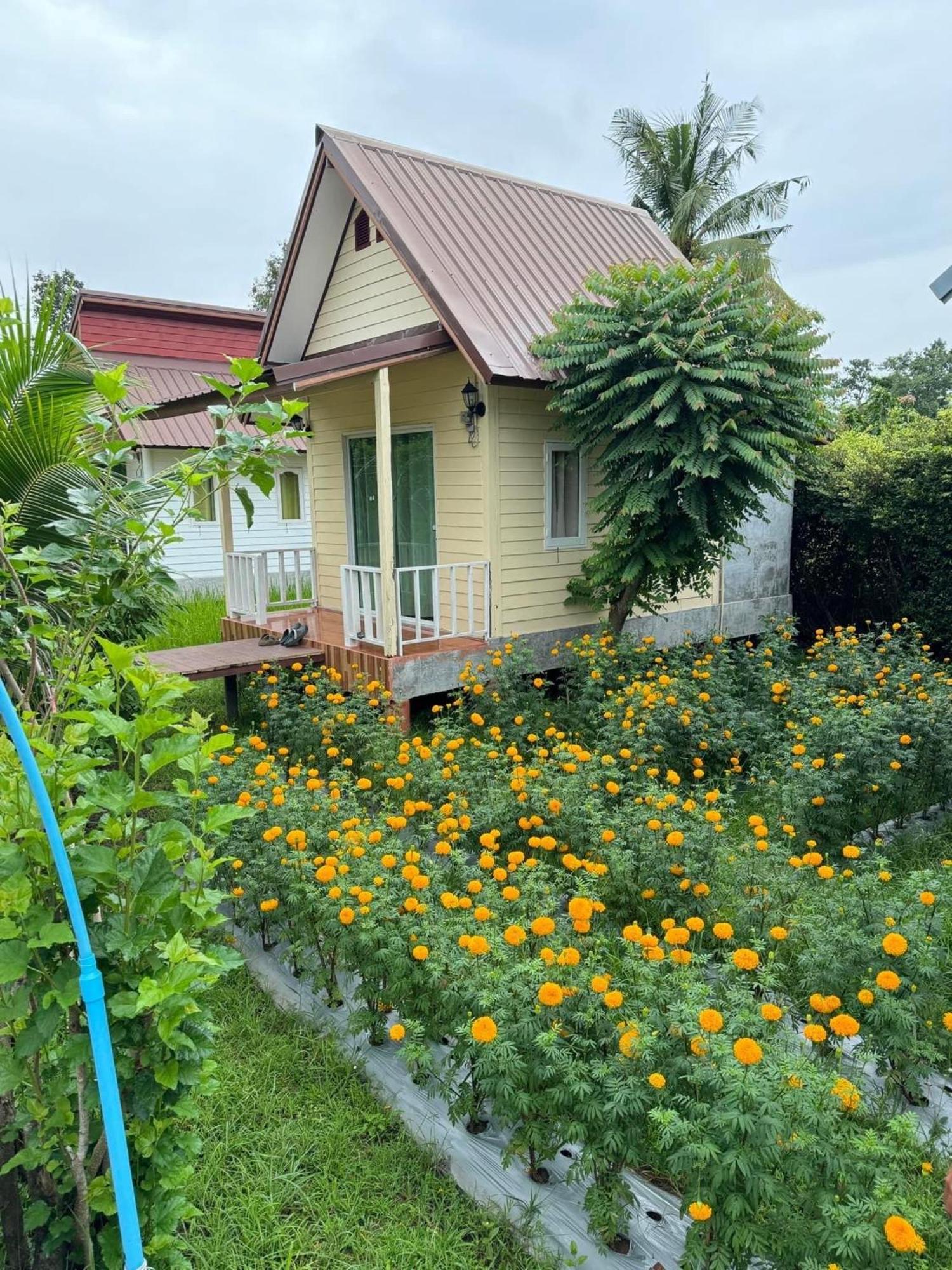 Baan Thung Home Stay Prasat Екстериор снимка