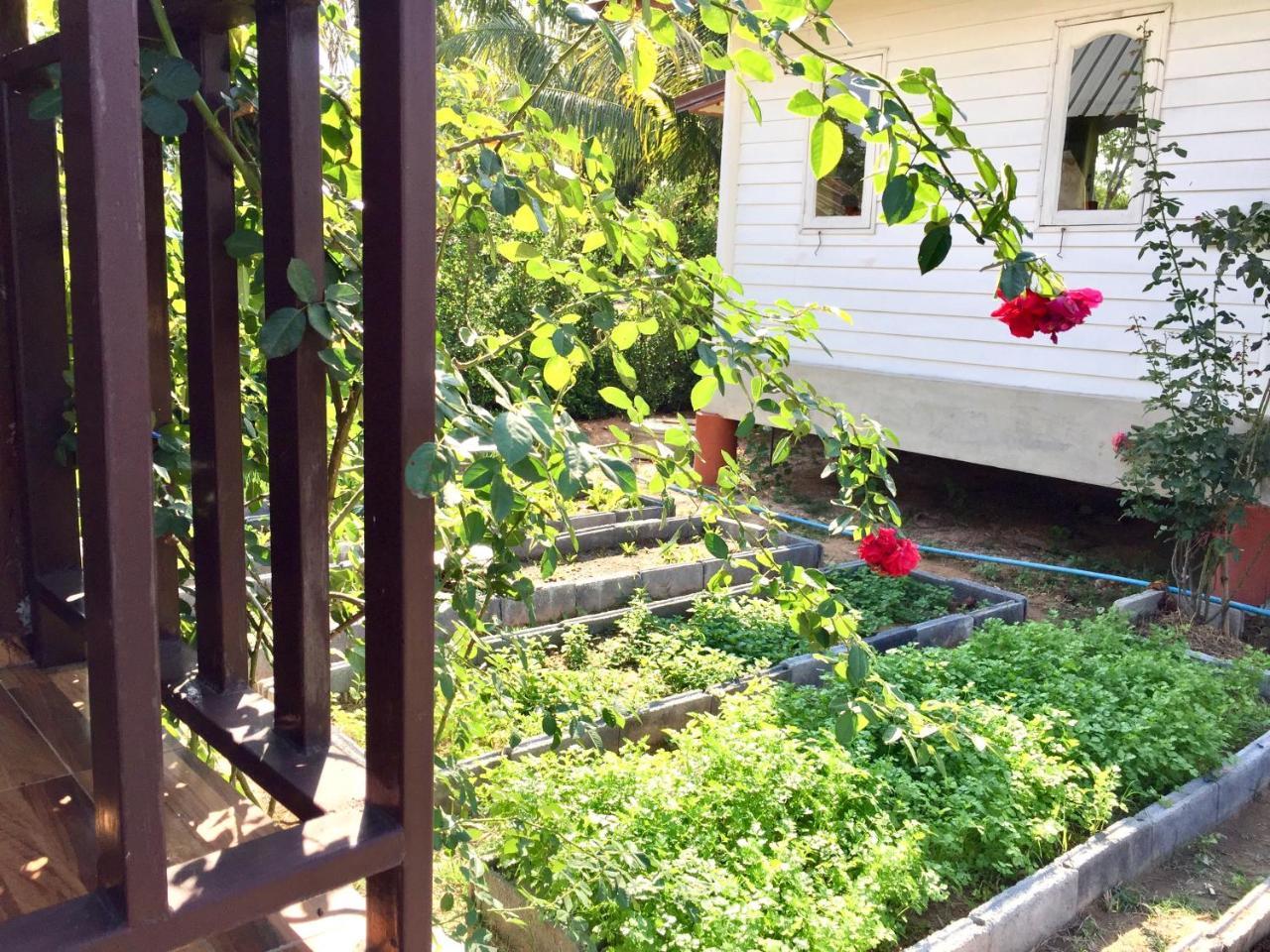Baan Thung Home Stay Prasat Екстериор снимка