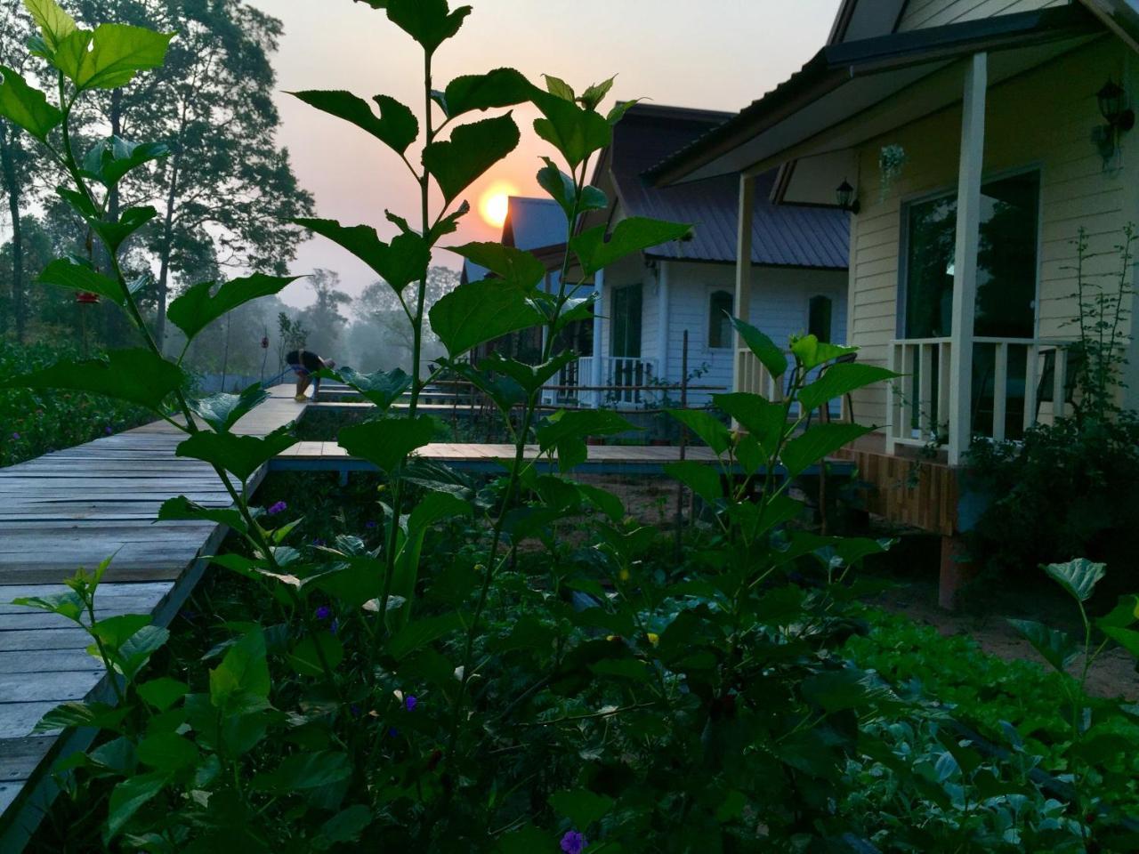 Baan Thung Home Stay Prasat Екстериор снимка