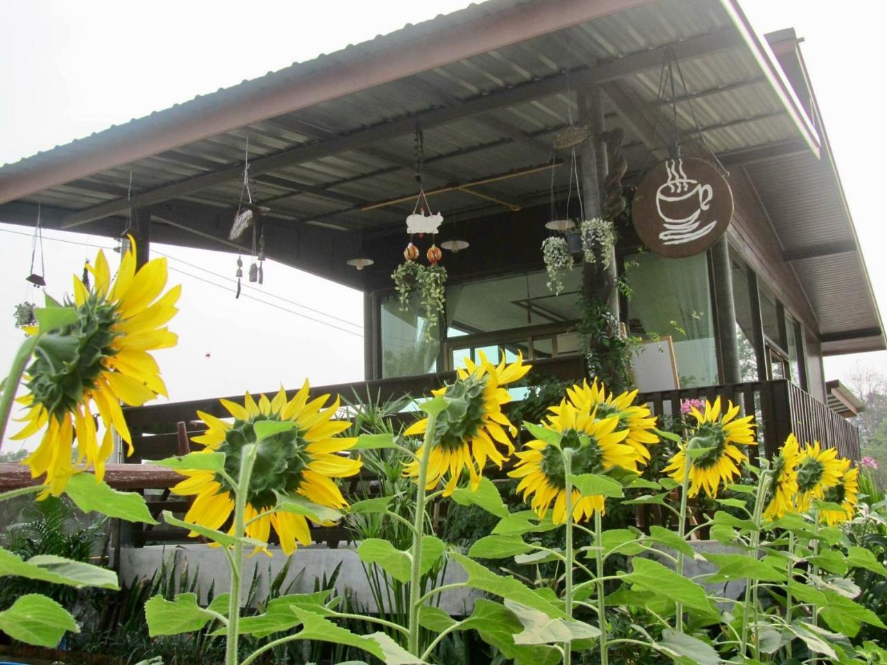 Baan Thung Home Stay Prasat Екстериор снимка