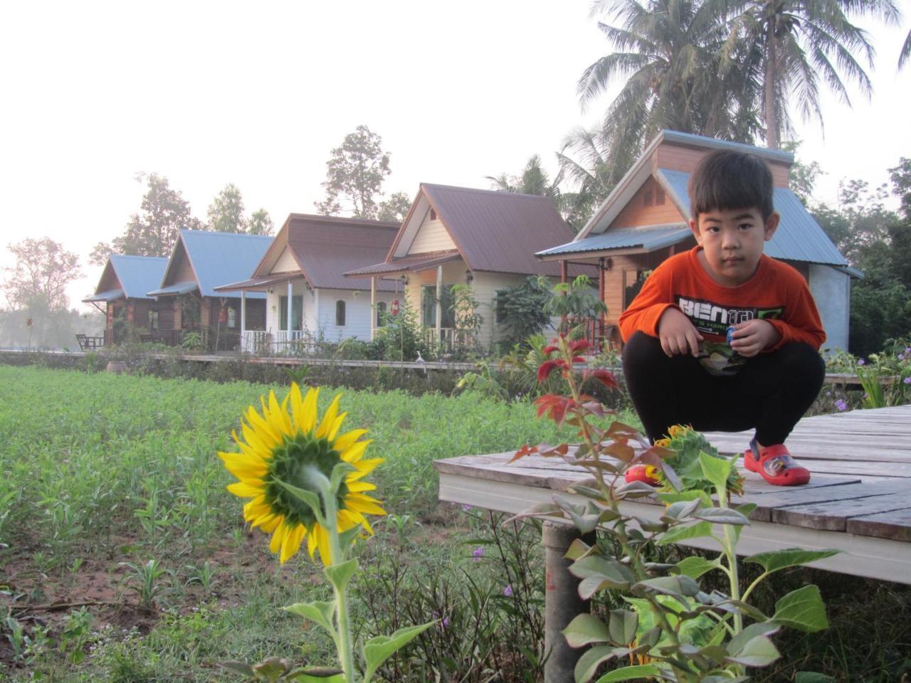 Baan Thung Home Stay Prasat Екстериор снимка