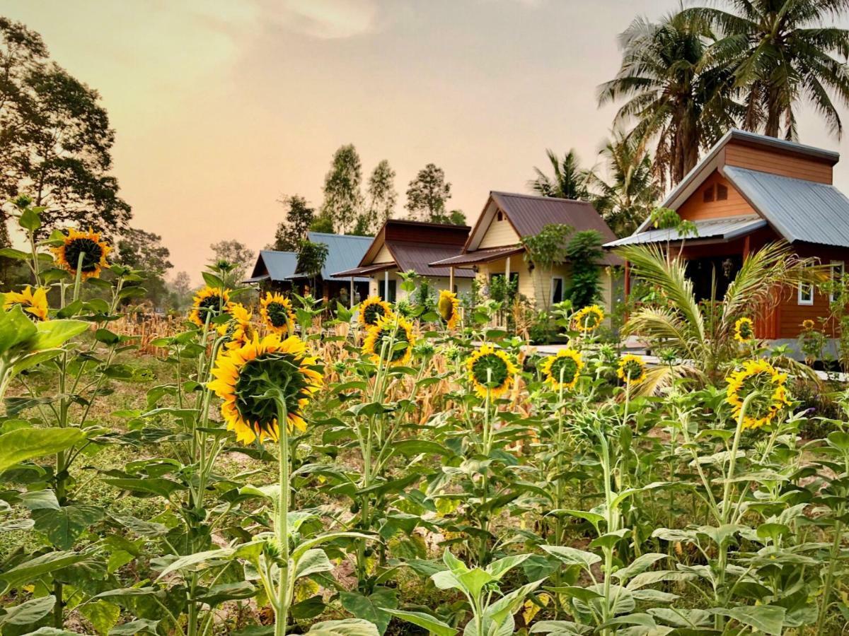 Baan Thung Home Stay Prasat Екстериор снимка