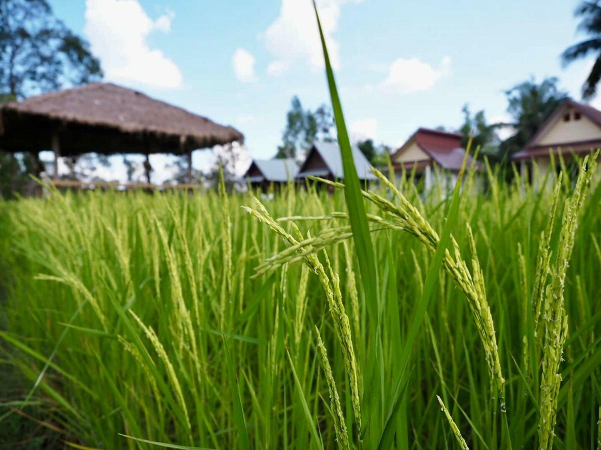 Baan Thung Home Stay Prasat Екстериор снимка