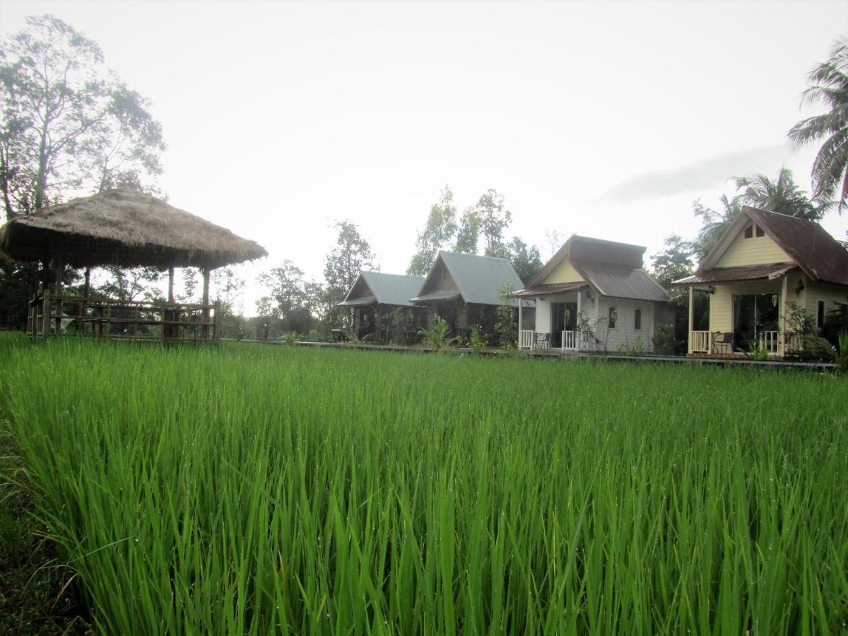 Baan Thung Home Stay Prasat Екстериор снимка