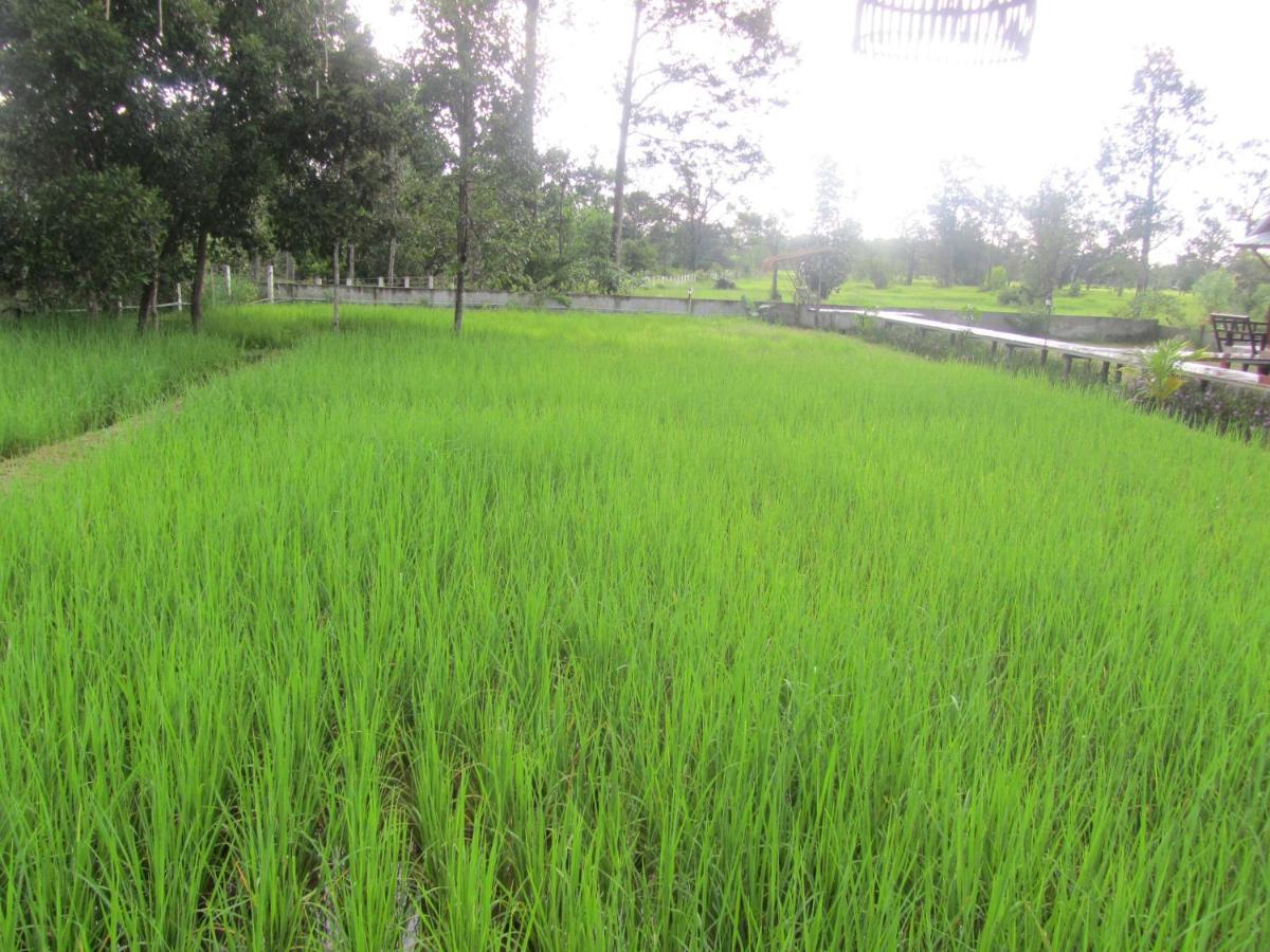 Baan Thung Home Stay Prasat Екстериор снимка